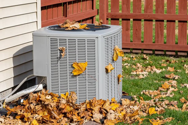 Best Affordable HVAC services  in Lake Shore, MN