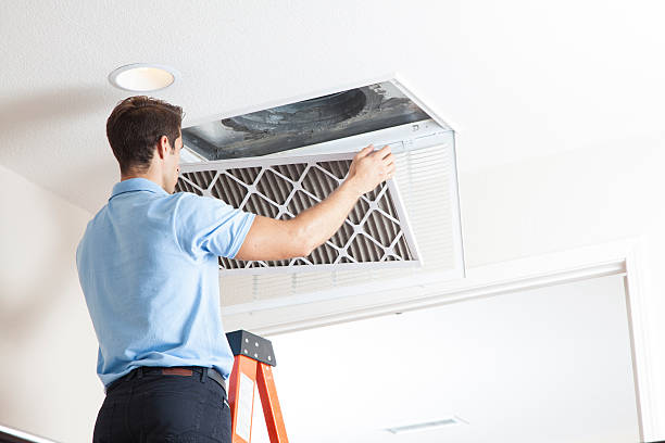 Best Air quality test  in Lake Shore, MN