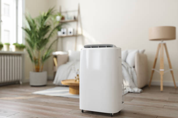 Best Ductless HVAC repair  in Lake Shore, MN